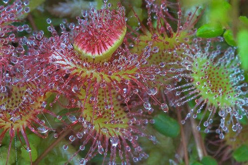 ‘beat365亚洲体育官方网站’府西社区:召开年终老干部座谈会(图2) beat·365