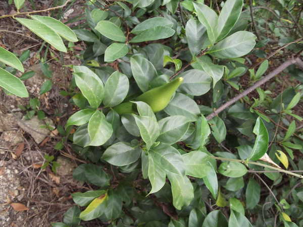 beat365亚洲体育官方网站