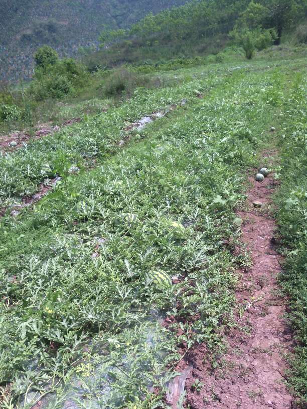 朱星杰为《亲爱的活祖宗》首度献唱片尾曲|beat·365