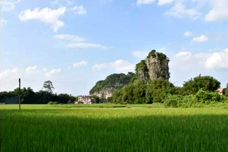 现代煤化工步入高质量转型关键期?_beat365官网(图4) beat365官网