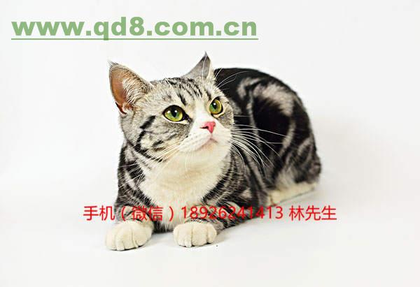 江西调查高考替考事件:参与作弊的大学生将被开除学籍“beat365官网”(图4) beat365亚洲体育官方网站