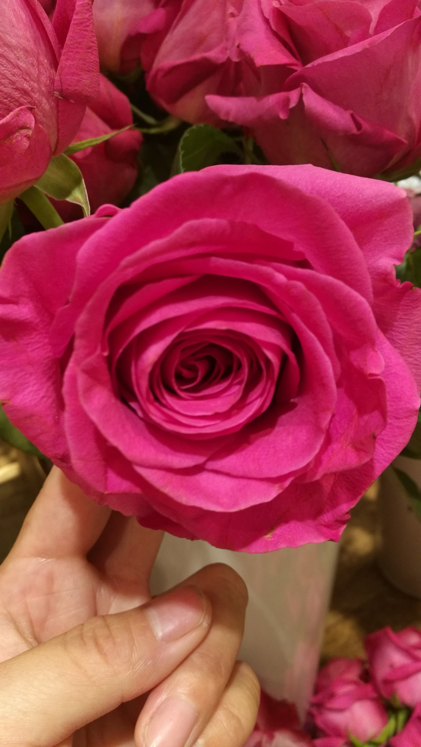 ‘beat·365’
请节约能源合理用气 天然气日供气量一连两日突破200万方(图6) beat365亚洲体育官方网站