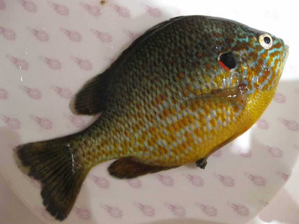 如懿传为什么没入围第25届白玉兰奖 演员阵容制作班底都好‘beat365亚洲体育官方网站’(图2) beat365官网