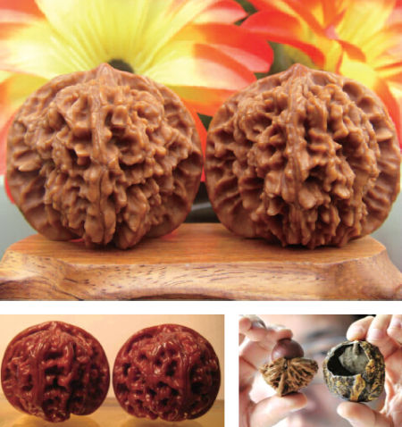 beat365亚洲体育官方网站