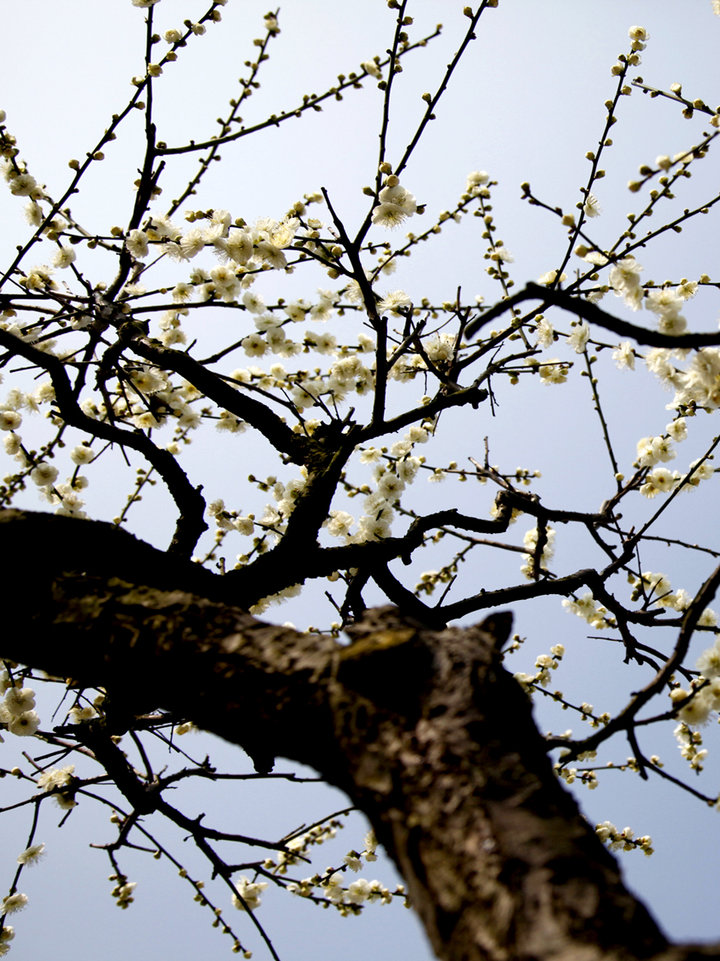 《宸汐缘》张震首部电视剧播出 与倪妮二度合作|beat365亚洲体育官方网站(图1) beat·365