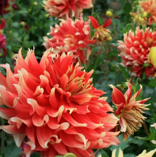 beat365亚洲体育官方网站